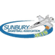 森伯里喷气机女篮 logo