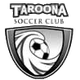 塔洛纳女足 logo
